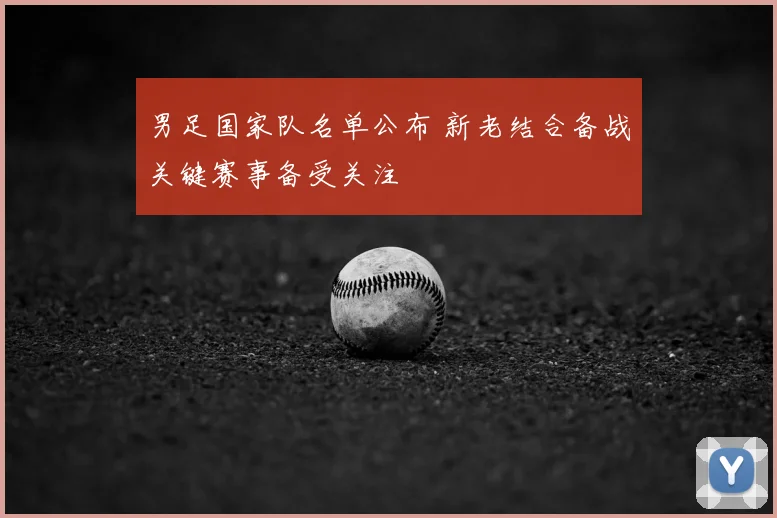 男足国家队名单公布 新老结合备战关键赛事备受关注