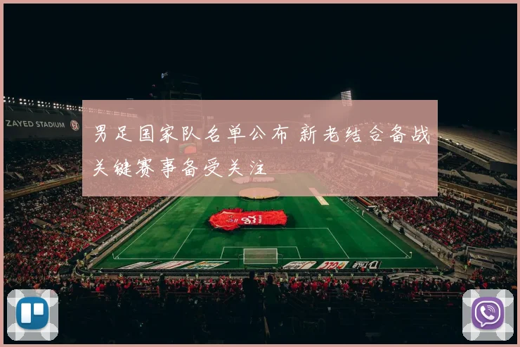 男足国家队名单公布 新老结合备战关键赛事备受关注