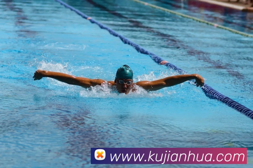 App Interface Preview